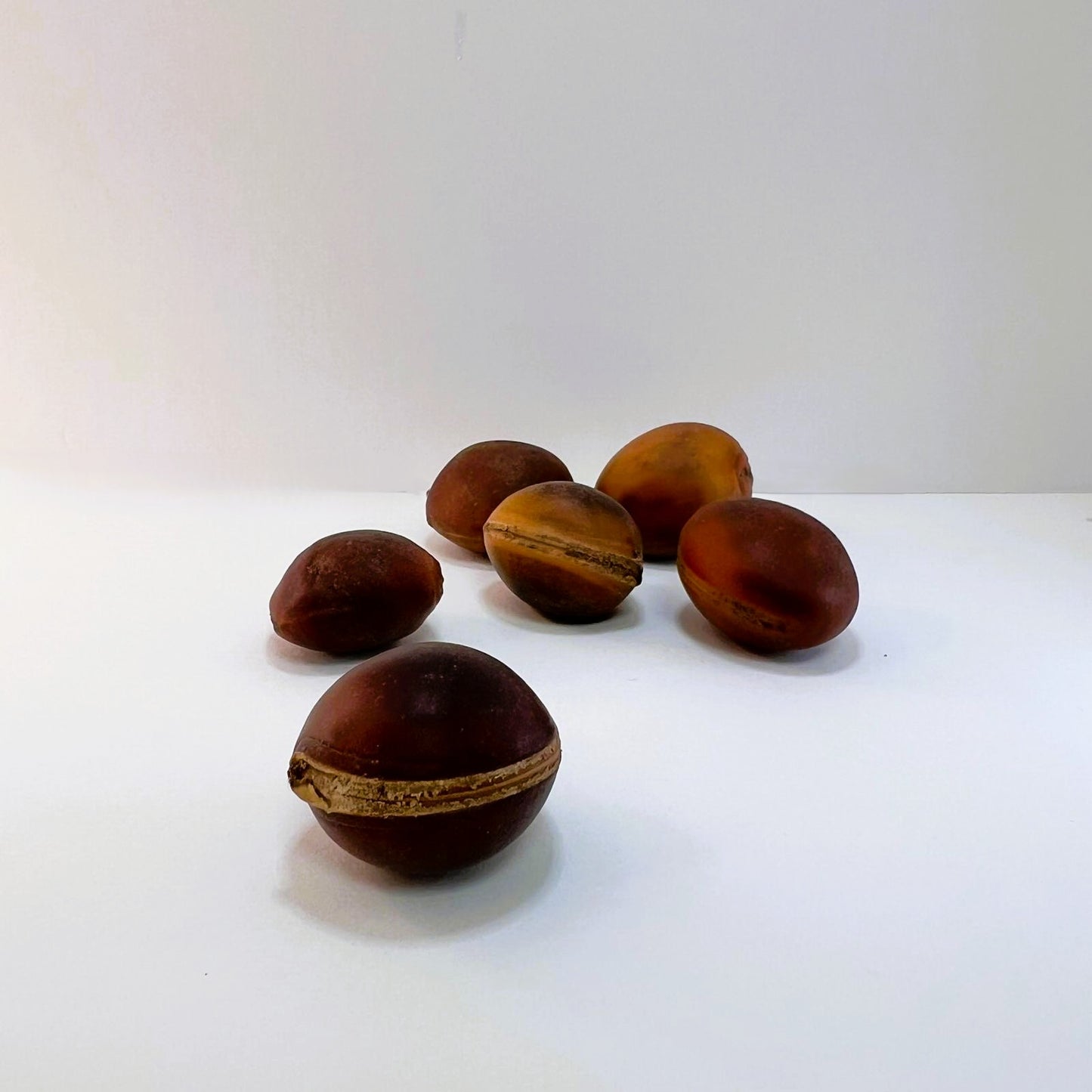 Amuleto - Semilla Ojo de Buey